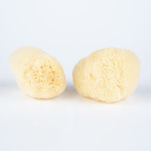 Load image into Gallery viewer, Sea Sponge - All Natural