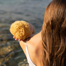 Load image into Gallery viewer, Sea Sponge - All Natural