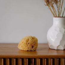 Load image into Gallery viewer, Sea Sponge - All Natural