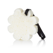 Load image into Gallery viewer, Sego Lily | Elevation Boxed Flower