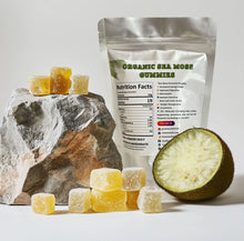 Load image into Gallery viewer, Tropical Tides Sea Moss Gummies 120 pack **30 Day Supply**