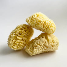 Load image into Gallery viewer, Sea Sponge - All Natural