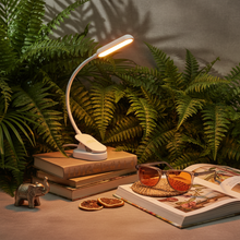 Load image into Gallery viewer, Lumina Circadian Friendly Reading Lamp